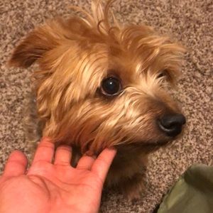 Meet your Posher, Jailene